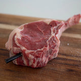 Wireless Meat Thermometer